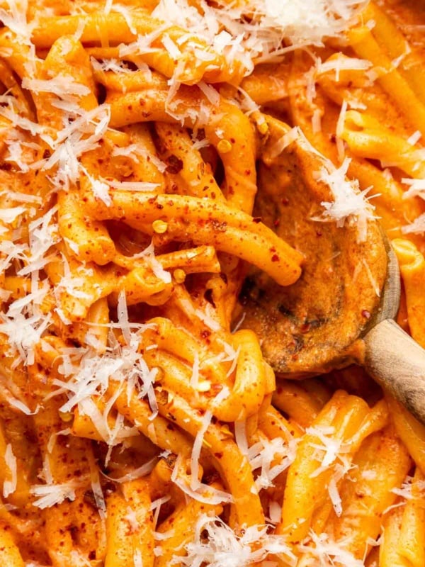 Macro image of vodka pasta with grated Parmesan on top.
